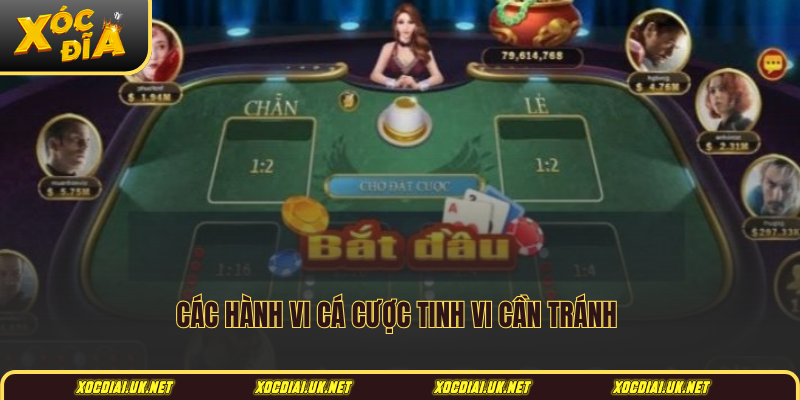 Các hành vi cá cược tinh vi cần tránh