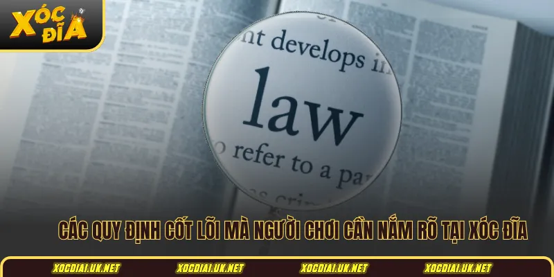 Các quy định cốt lõi mà người chơi cần nắm rõ tại Xóc đĩa