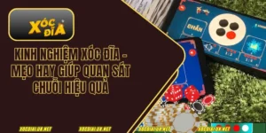 Kinh nghiệm xóc đĩa