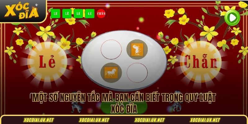 Một số nguyên tắc mà bạn cần biết trong quy luật xóc đĩa