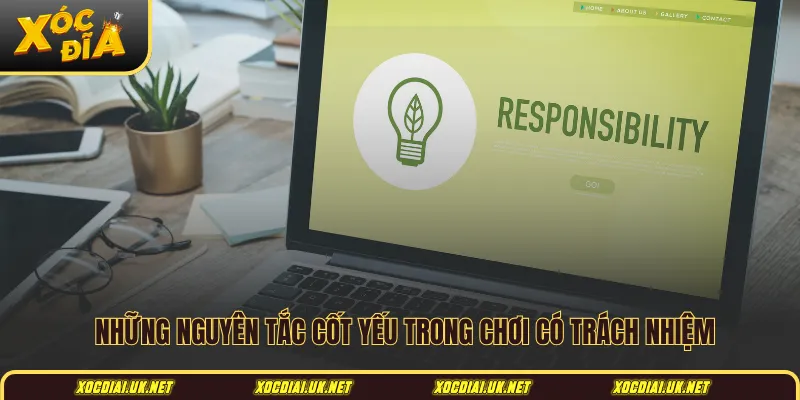 Những nguyên tắc cốt yếu trong chơi có trách nhiệm