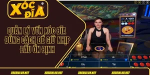 Quản lý vốn xóc đĩa