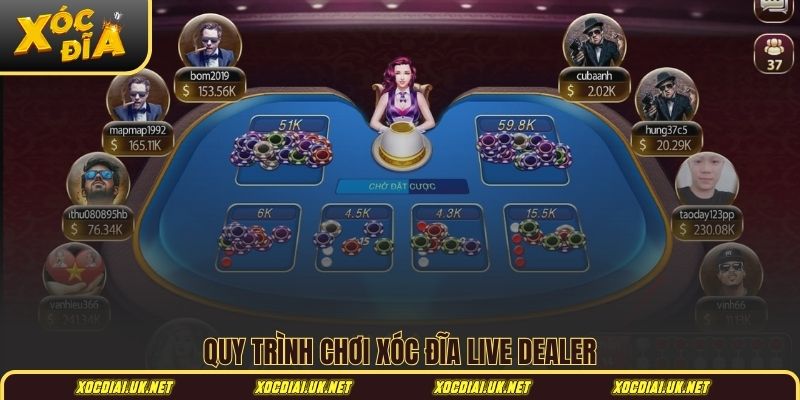 Quy trình chơi xóc đĩa Live Dealer
