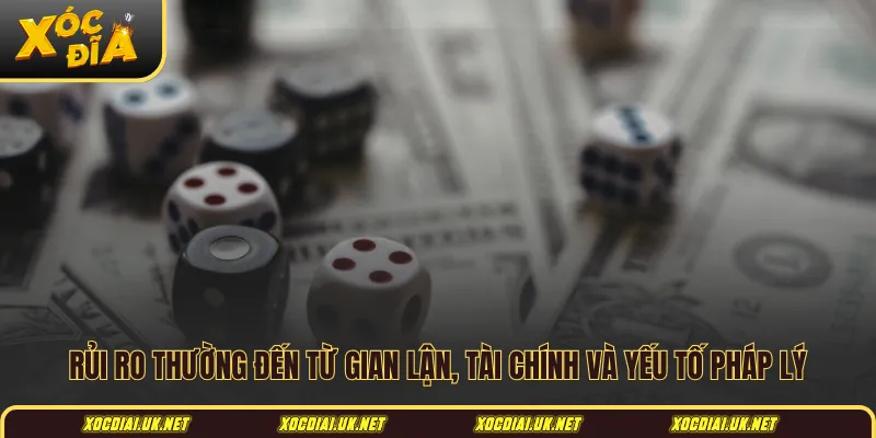 Rủi ro thường đến từ gian lận, tài chính và yếu tố pháp lý