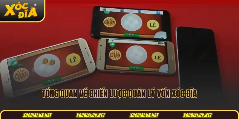 Tổng quan về chiến lược quản lý vốn xóc đĩa