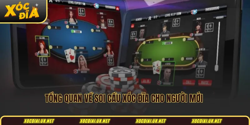 Tổng quan về soi cầu xóc đĩa cho người mới
