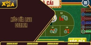 Xóc đĩa Live Dealer