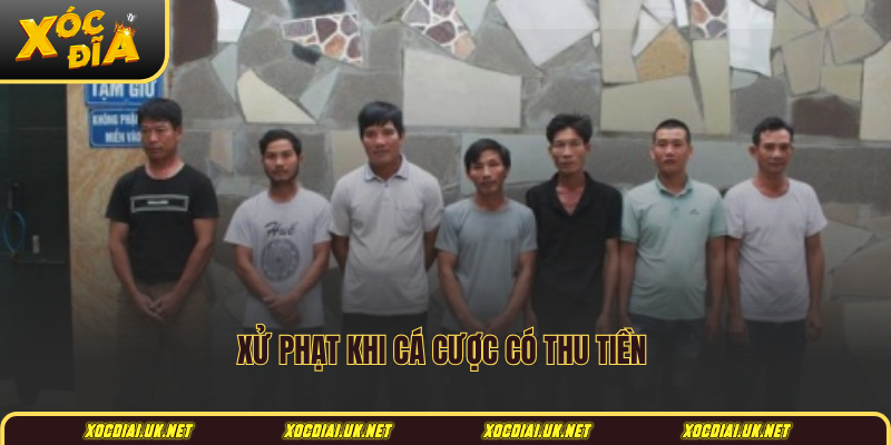 Xử phạt khi cá cược có thu tiền